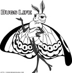 bugs life